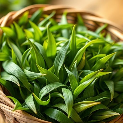 新鲜绿茶嫩叶