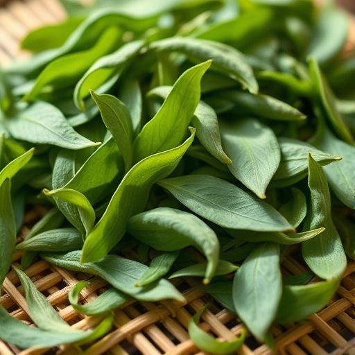 高端茶叶特写